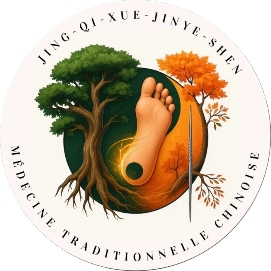 Praticien expert en médecine traditionnelle chinoise
